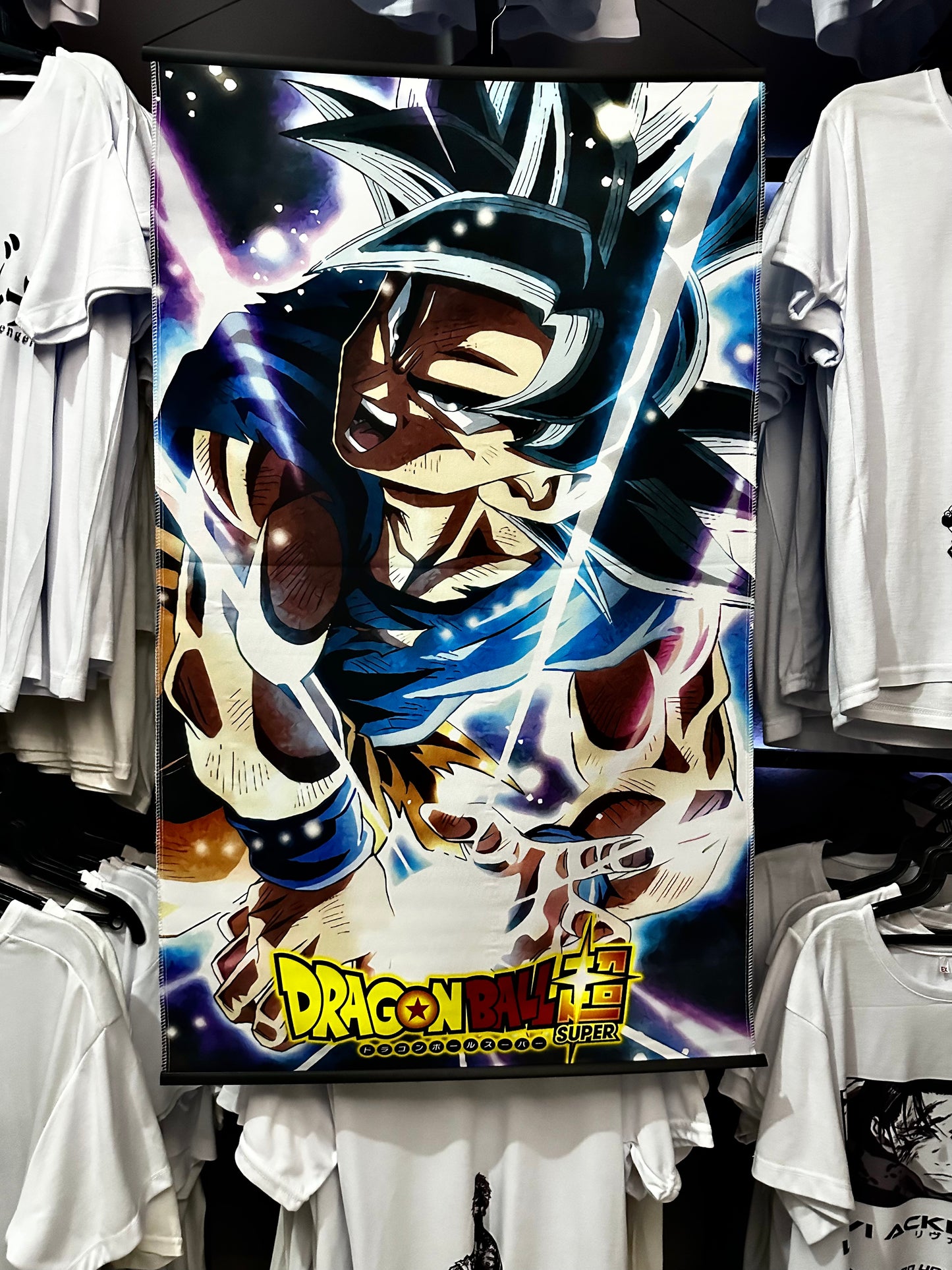 Posters Tela Dragon Ball